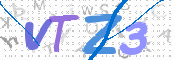 画像に表示された文字を入力して下さい