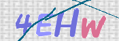 画像に表示された文字を入力して下さい