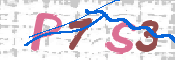 画像に表示された文字を入力して下さい