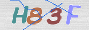 画像に表示された文字を入力して下さい