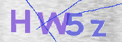画像に表示された文字を入力して下さい