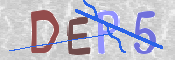 画像に表示された文字を入力して下さい
