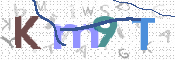 画像に表示された文字を入力して下さい
