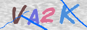 画像に表示された文字を入力して下さい