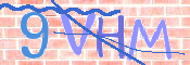 画像に表示された文字を入力して下さい
