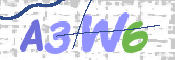 画像に表示された文字を入力して下さい