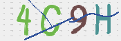 画像に表示された文字を入力して下さい