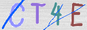 画像に表示された文字を入力して下さい