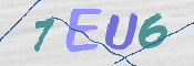 画像に表示された文字を入力して下さい