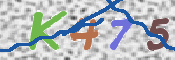画像に表示された文字を入力して下さい