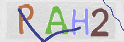 画像に表示された文字を入力して下さい
