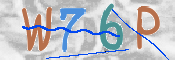 画像に表示された文字を入力して下さい