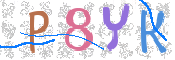 画像に表示された文字を入力して下さい
