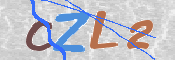 画像に表示された文字を入力して下さい