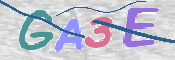 画像に表示された文字を入力して下さい