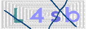 画像に表示された文字を入力して下さい