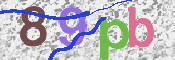 画像に表示された文字を入力して下さい