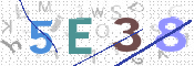 画像に表示された文字を入力して下さい