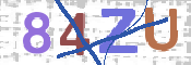画像に表示された文字を入力して下さい