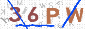 画像に表示された文字を入力して下さい