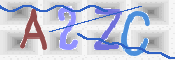 画像に表示された文字を入力して下さい