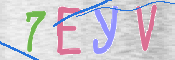 画像に表示された文字を入力して下さい