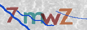 画像に表示された文字を入力して下さい