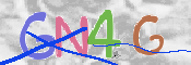 画像に表示された文字を入力して下さい