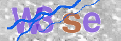 画像に表示された文字を入力して下さい