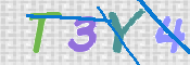 画像に表示された文字を入力して下さい