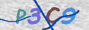 画像に表示された文字を入力して下さい