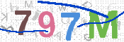 画像に表示された文字を入力して下さい