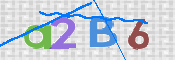 画像に表示された文字を入力して下さい