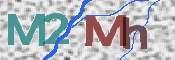 画像に表示された文字を入力して下さい