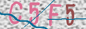 画像に表示された文字を入力して下さい