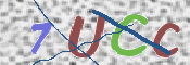 画像に表示された文字を入力して下さい