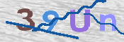 画像に表示された文字を入力して下さい