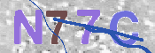 画像に表示された文字を入力して下さい