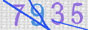 画像に表示された文字を入力して下さい