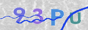 画像に表示された文字を入力して下さい