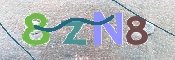 画像に表示された文字を入力して下さい
