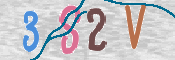 画像に表示された文字を入力して下さい
