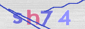 画像に表示された文字を入力して下さい