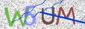 画像に表示された文字を入力して下さい