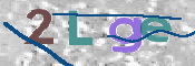 画像に表示された文字を入力して下さい