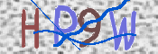 画像に表示された文字を入力して下さい