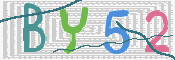 画像に表示された文字を入力して下さい