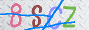画像に表示された文字を入力して下さい