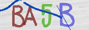画像に表示された文字を入力して下さい
