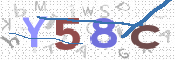 画像に表示された文字を入力して下さい